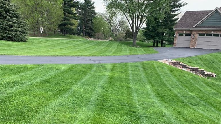 Who Is The Best Lawn Care Company In Rockford, Illinois?