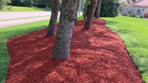 mulch installation